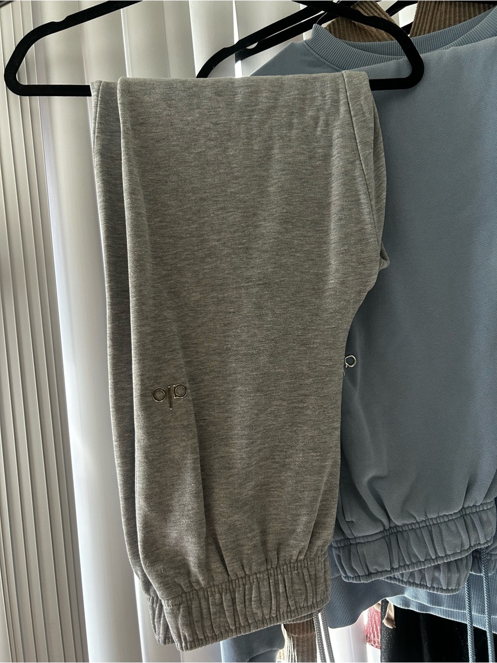 Alo M Accolade sweats
